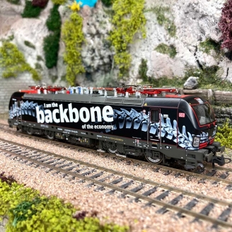 Locomotive électrique Siemens Vectron 193 318-3 "BACKBONE" DBAG, Ep VI - ROCO 70315 - HO 1/87