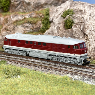 Locomotive diesel BR 142 002-5, DR, Ep IV, digital son - ARNOLD HN2600S - N 1/160