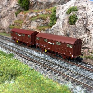 2 Wagons couverts SNCF FRET Express, Ep. IV - Arnold HNS6664 - N 1/160