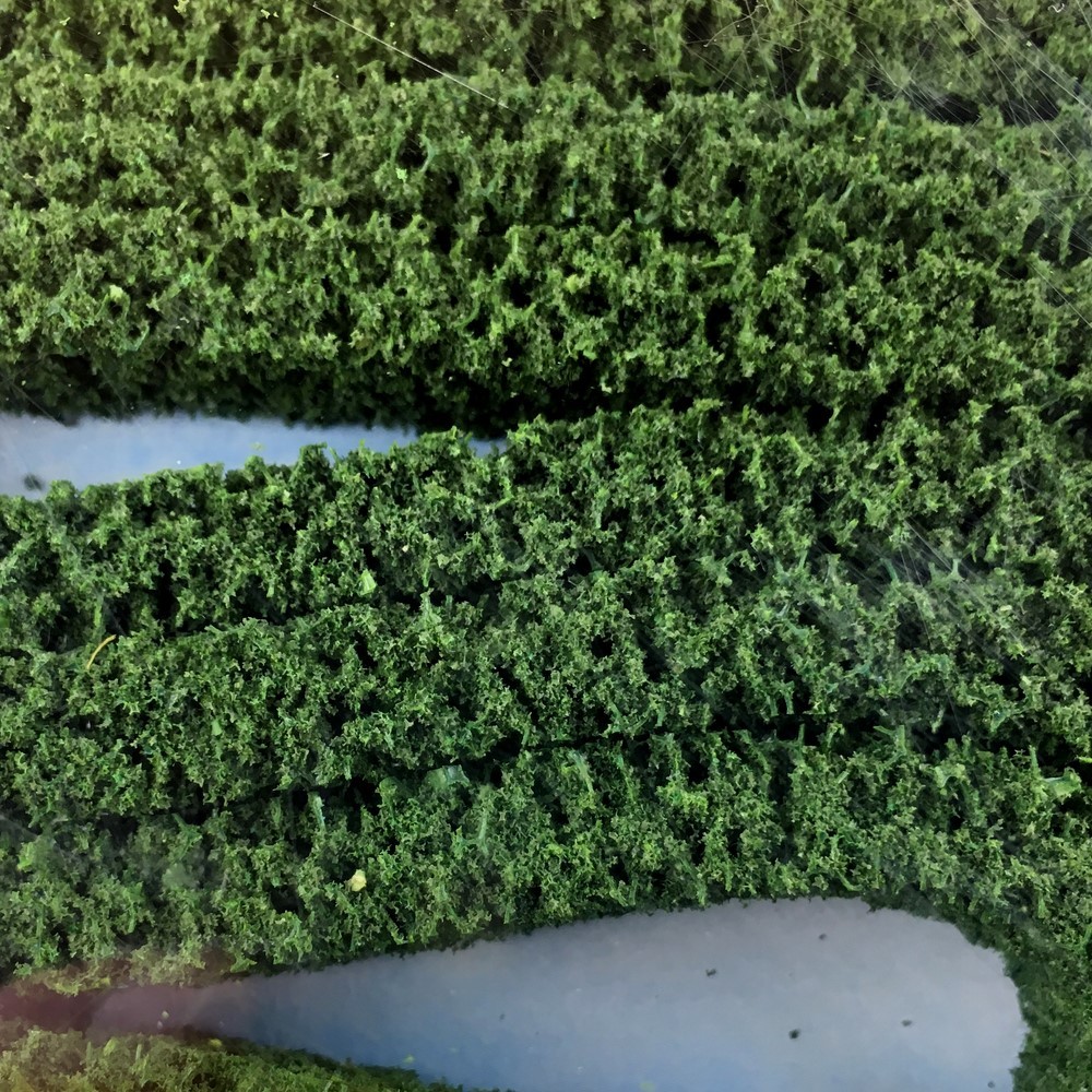Foliage Flocage Haie Buisson Plante Mousse pour Diorama